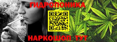 стаф Гусев