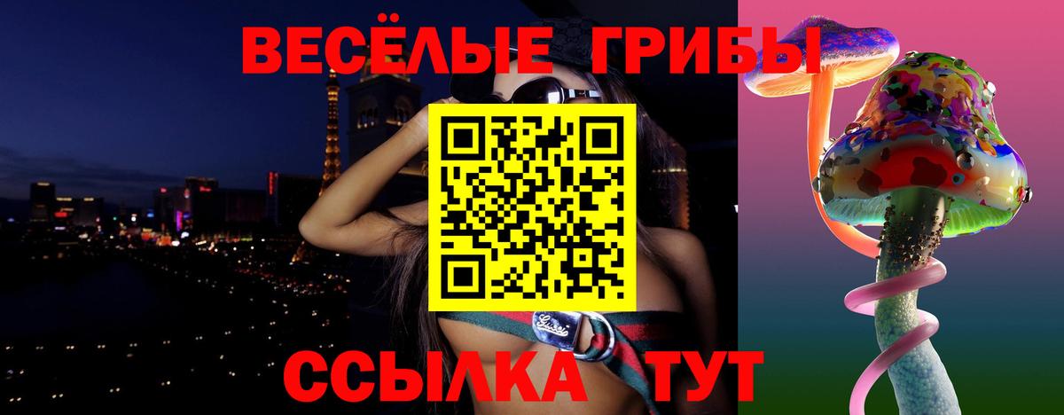 Галлюциногенные грибы Magic Shrooms  цена наркотик  Псилоцибиновые грибы ЛСД  Люберцы  Вход с VPN 